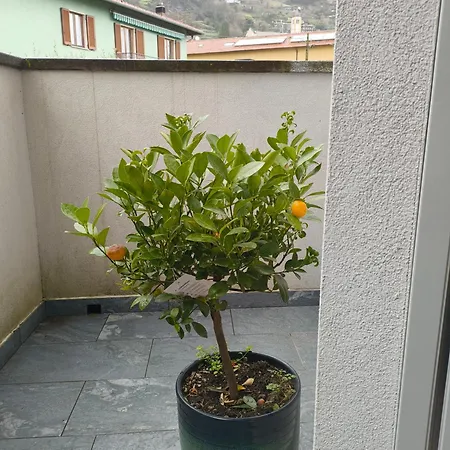 Apartment Relaxing Break Lario